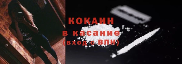 шишки Алексин