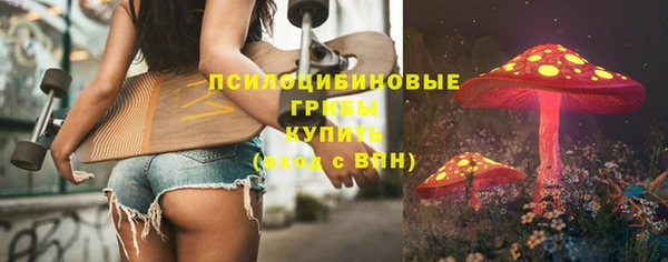 шишки Алексин